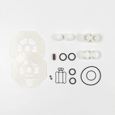 Bomba AODD de 3 pulgadas con salida, construcción de hierro dúctil y caudal de 270 GPM para aplicaciones industriales