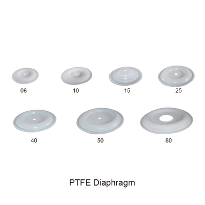Piezas dobles neumáticas de la bomba de diafragma del diafragma PTFE